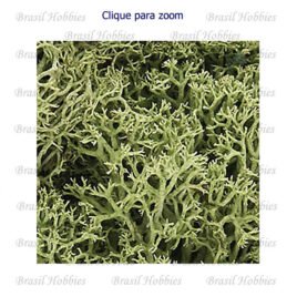 Lichen Spring Green – WOO-L161