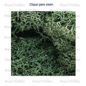 Lichen Light Green - WOO-L162